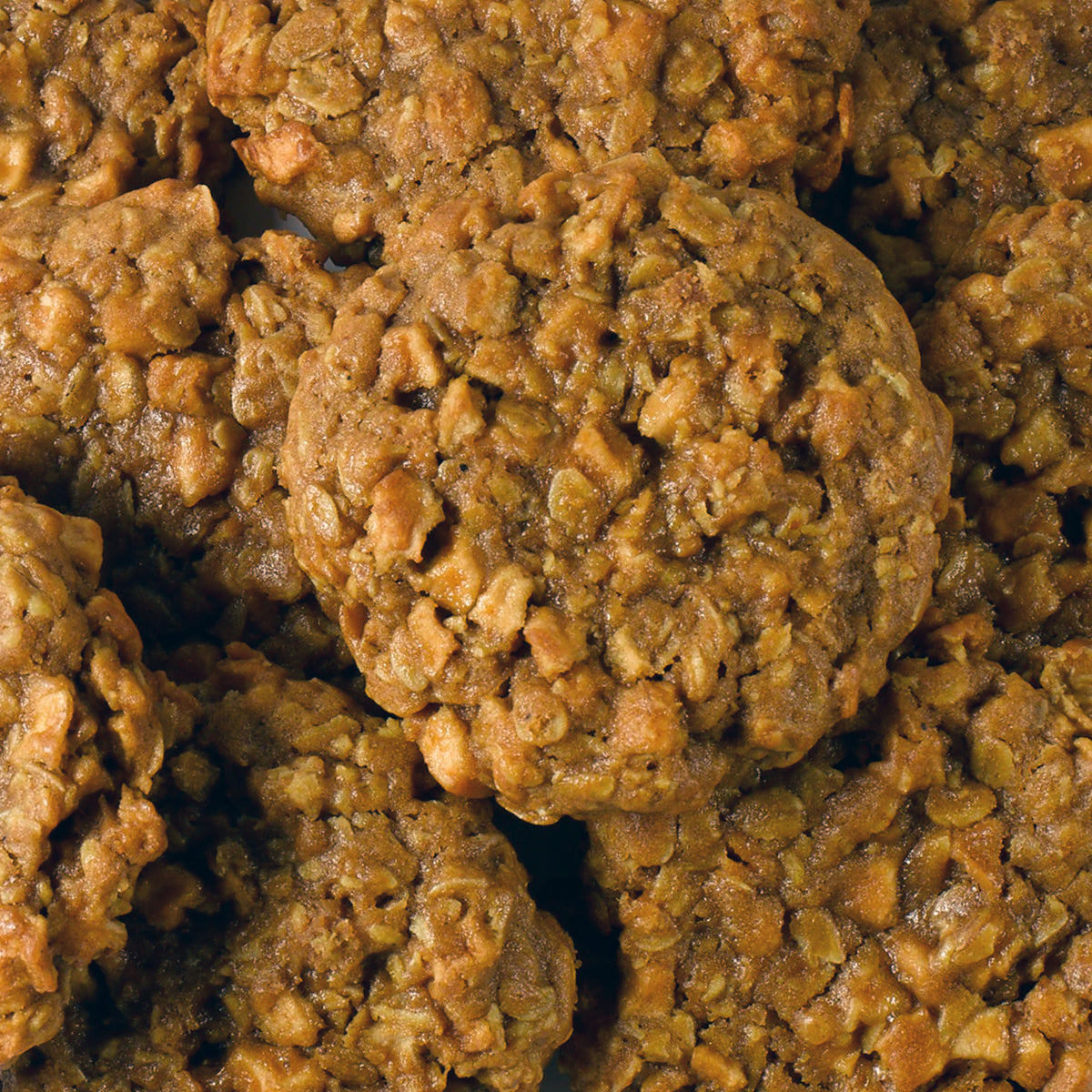 Apple Pumpkin Spice Cookies - Wholesale 50 Pack